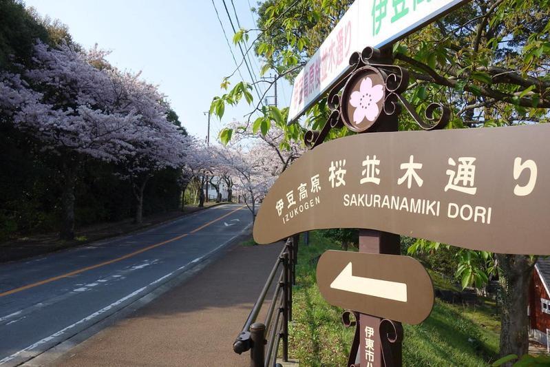 伊豆高原 温泉付別荘 Isana Mountain Villa Futo エクステリア 写真