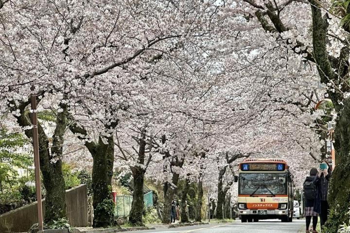 伊豆高原 温泉付別荘 Isana Mountain Villa Futo エクステリア 写真