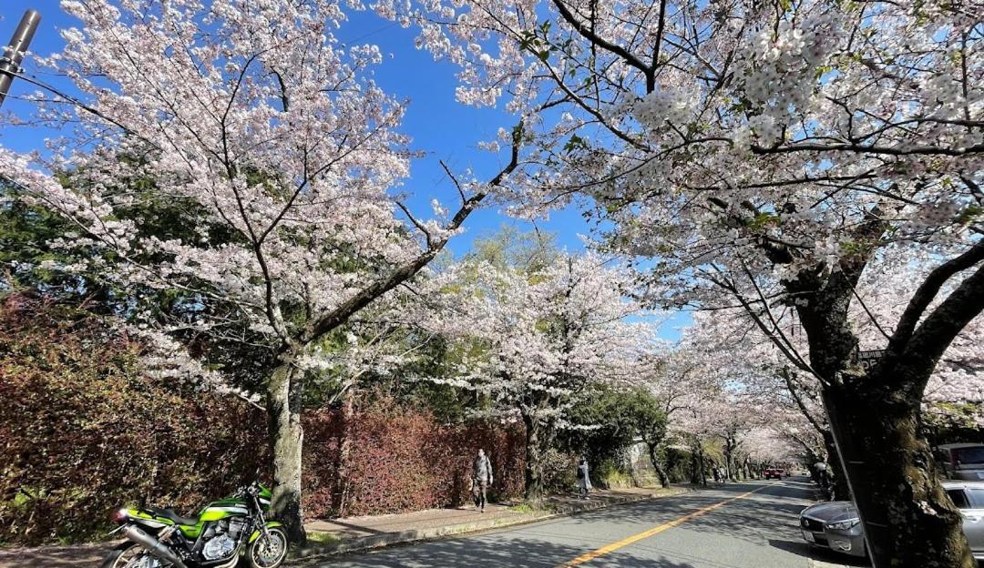 伊豆高原 温泉付別荘 Isana Mountain Villa Futo エクステリア 写真